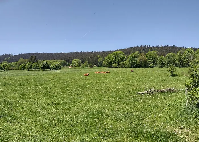 Apartmán Lipno Lipno nad Vltavou